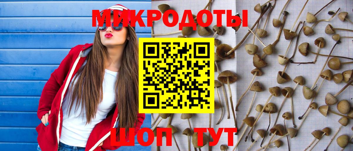 Галлюциногенные грибы Psilocybine cubensis  Вход с VPN  Галлюциногенные грибы Psilocybine cubensis  Электросталь 
