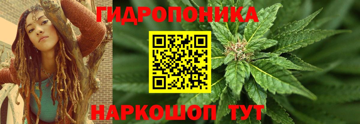 Конопля сатива  Бошки Шишки тримм  Вход с VPN  Шишки марихуана тримм  Электросталь 